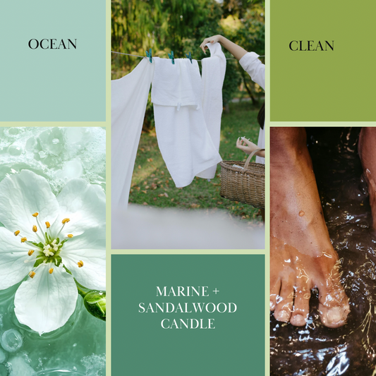 Collage of images with ocean, clean, marine, and sandalwood themes.