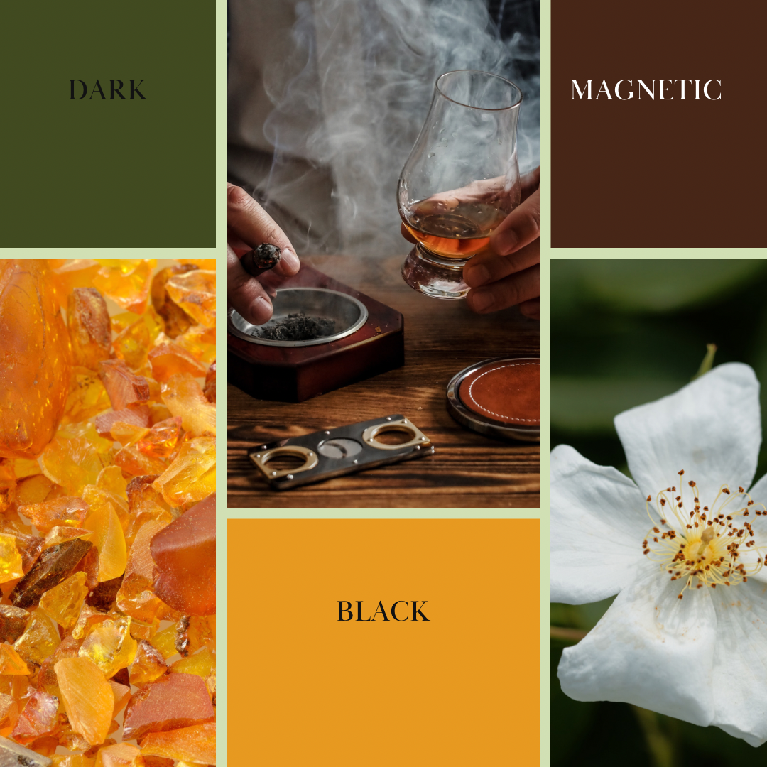 Roll-on body oil, BLACK scent mood board with amber-toned oil and jar