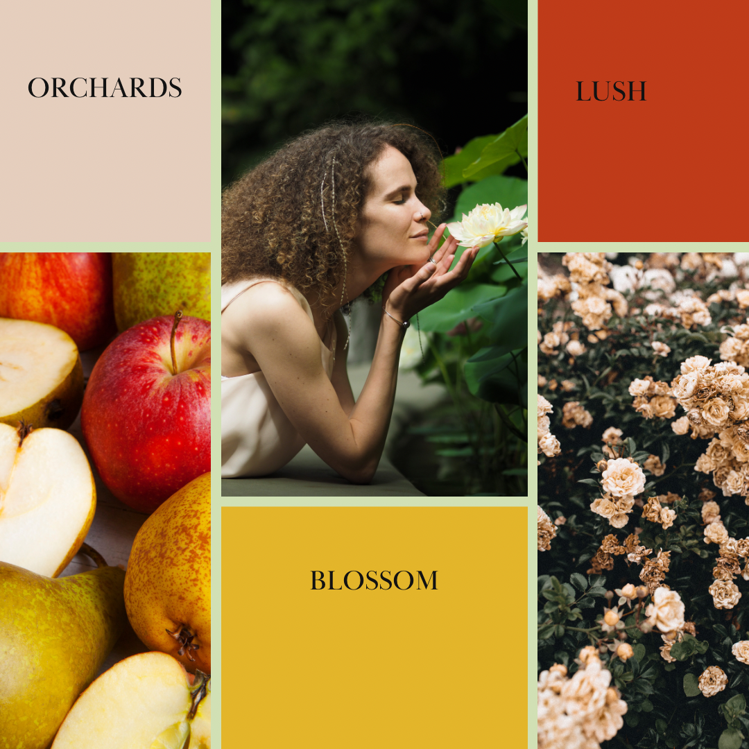 Roll-on body oil, BLOSSOM scent mood board with white flower and fruit