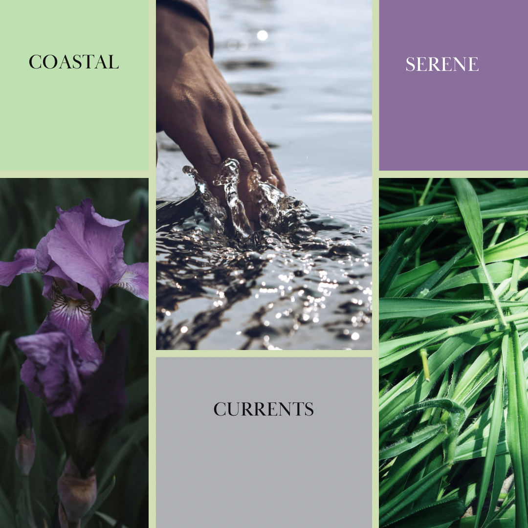 Roll-on body oil, CURRENTS scent mood board with flowing water and sea grass