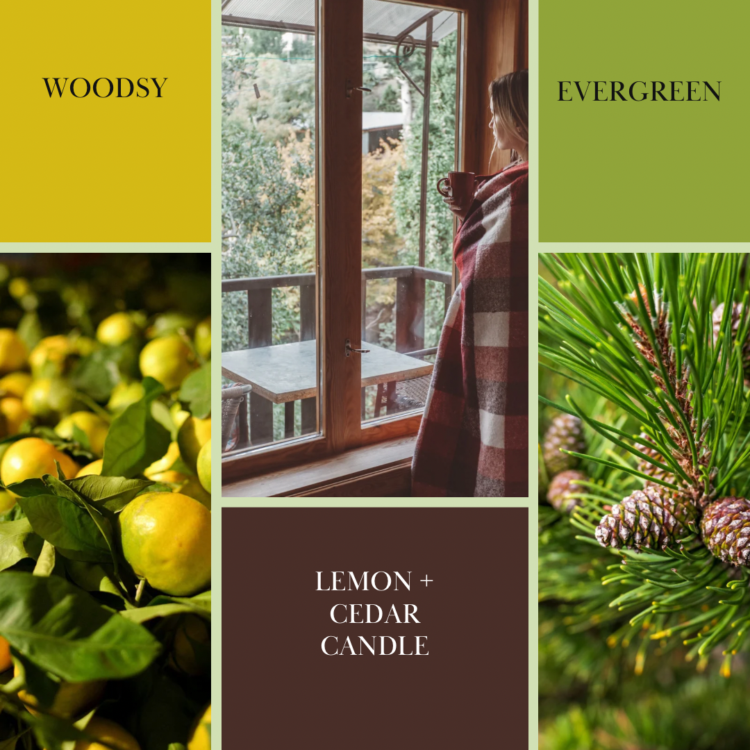 Collage of images with lemon, cedar, and evergreen elements, featuring a person by a window.
